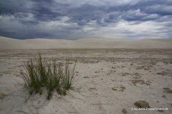 Wüste bei Gewitterstimmung