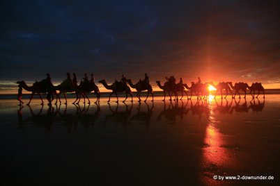 Kamel-Karawane bei Sonnenuntergang in Broome am Cable Beach (6)