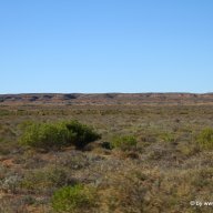 Termitenhügel im Cape Range NP