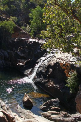 Oben an den Gunlom Falls im Kakadu NP (3)