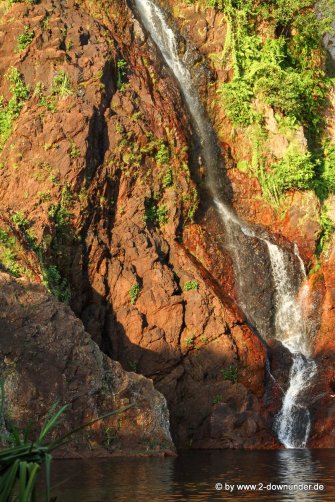 Wangi Falls im Litchfield NP (4)