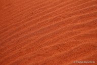 Roter Sand bei Uluru-Kata-Tjuta NP (1)