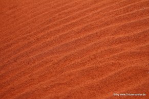 Roter Sand bei Uluru-Kata-Tjuta NP (1)
