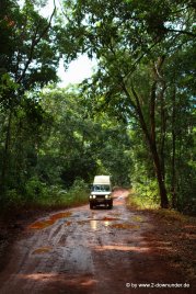 Straße im Regenwald auf Cape York