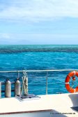 Blick vom Boot aufs Great Barrier Reef