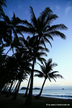 Sonnenaufgang am Strand von Palm Cove (1)
