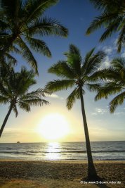 Sonnenaufgang am Strand von Palm Cove (6)