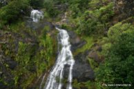 Wasserfall bei der Zugfahrt in Cairns (2)