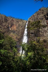 Blick auf die Wallaman Falls durch den Regenwald